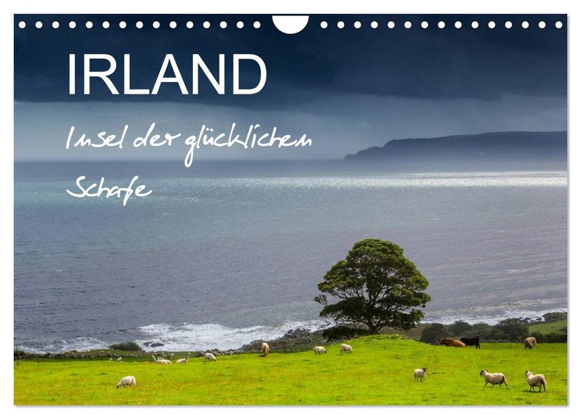 IRLAND - Insel der glücklichen Schafe (Wandkalender 2026 DIN A4 quer) CALVENDO Monatskalender