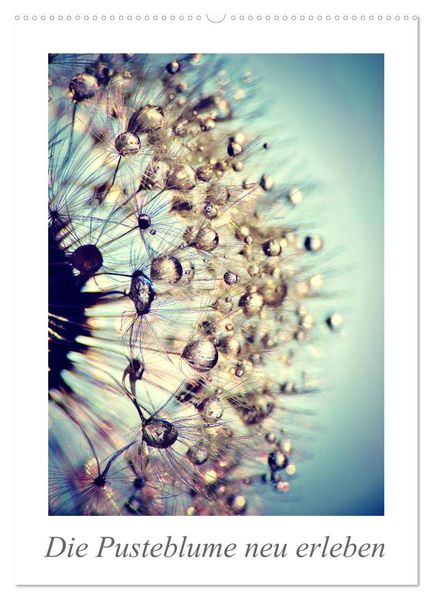 Die Pusteblume neu erleben (Wandkalender 2026 DIN A2 hoch) CALVENDO Monatskalender