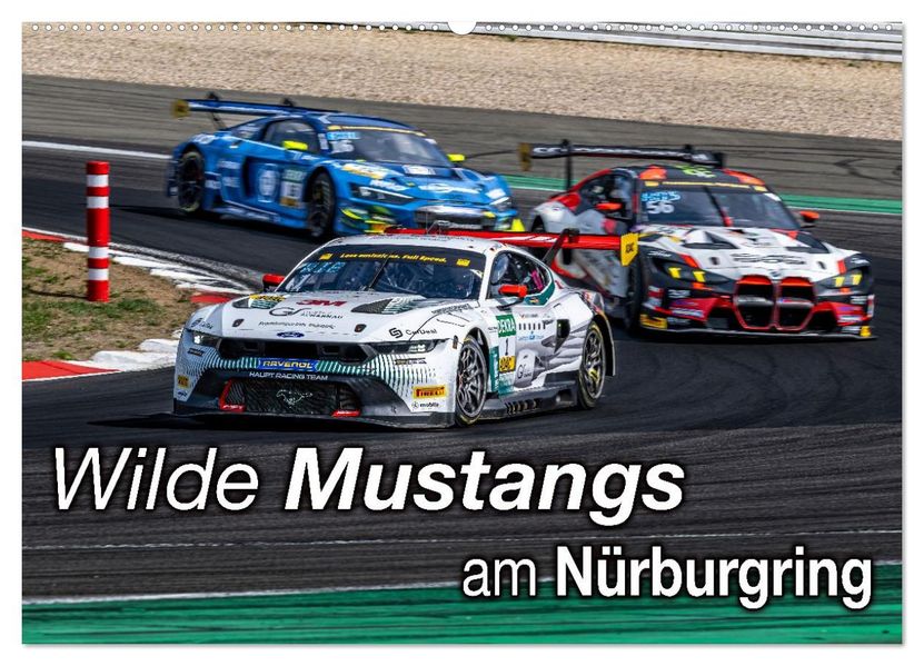 Wilde Mustangs am Nürburgring (Wandkalender 2026 DIN A2 quer) CALVENDO Monatskalender