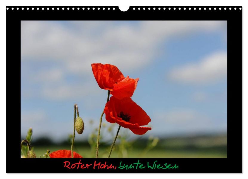Roter Mohn bunte Wiesen (Wandkalender 2026 DIN A3 quer) CALVENDO Monatskalender