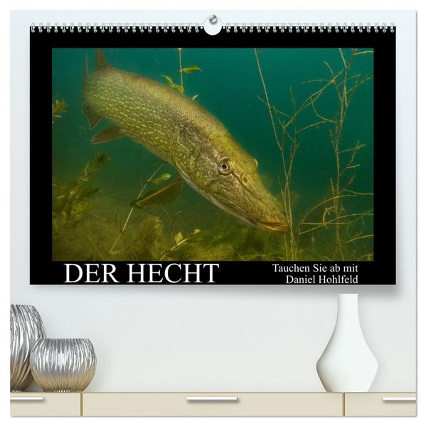 Der Hecht - Tauchen Sie ab mit Daniel Hohlfeld (hochwertiger Premium Wandkalender 2026 DIN A2 quer) Kunstdruck in Hochglanz