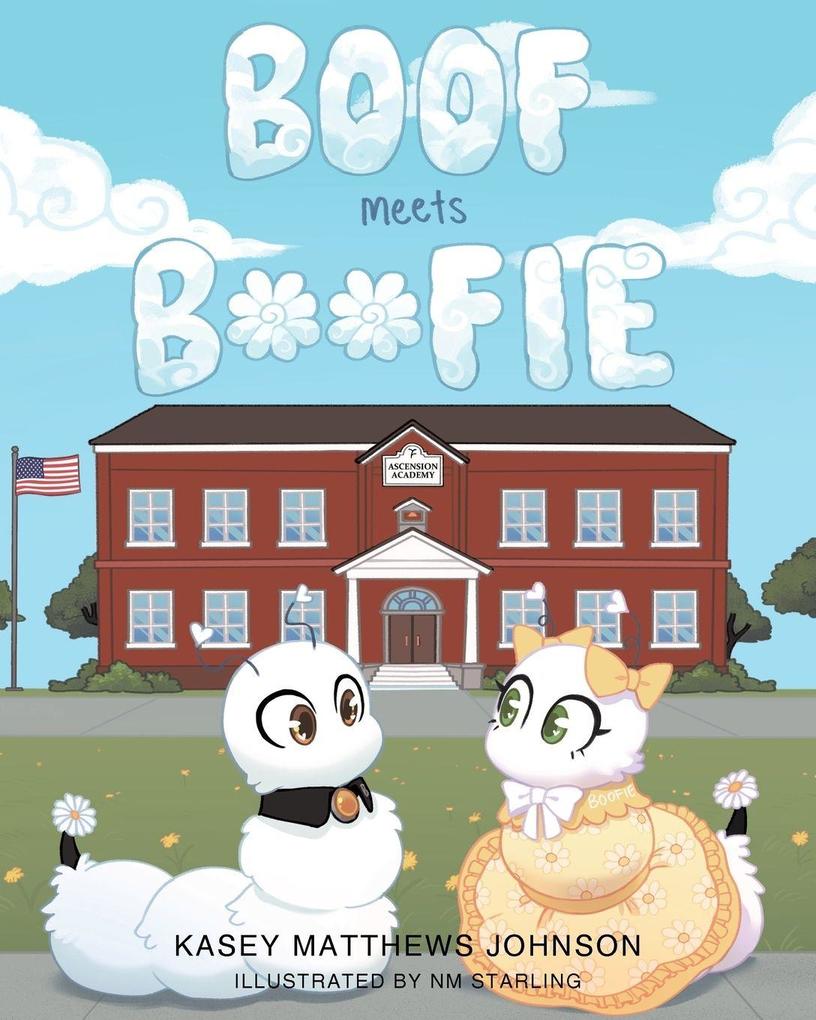 BOOF Meets BOOFIE