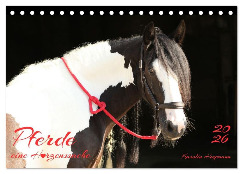 Pferde - eine Herzenssache (Tischkalender 2026 DIN A5 quer) CALVENDO Monatskalender
