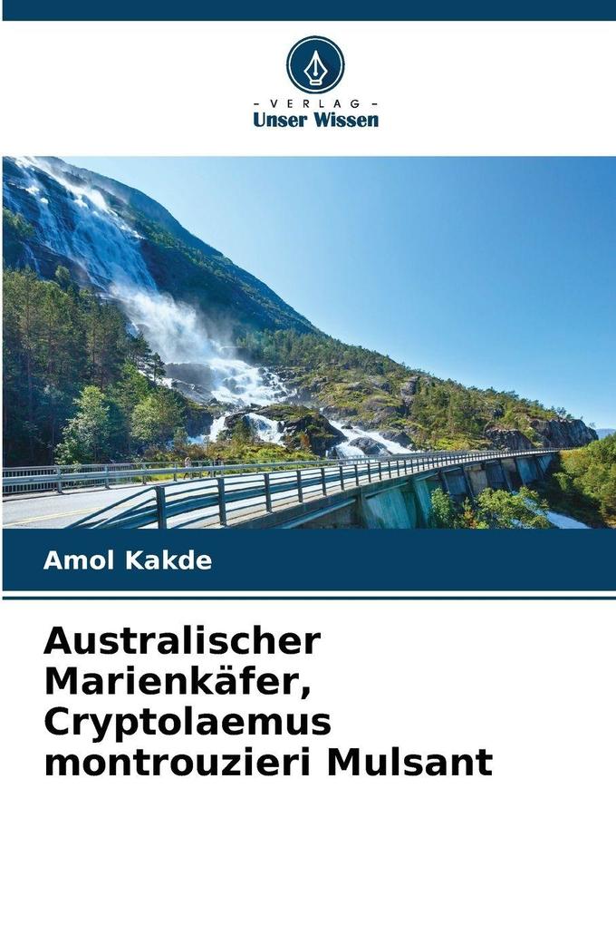 Australischer Marienkäfer Cryptolaemus montrouzieri Mulsant