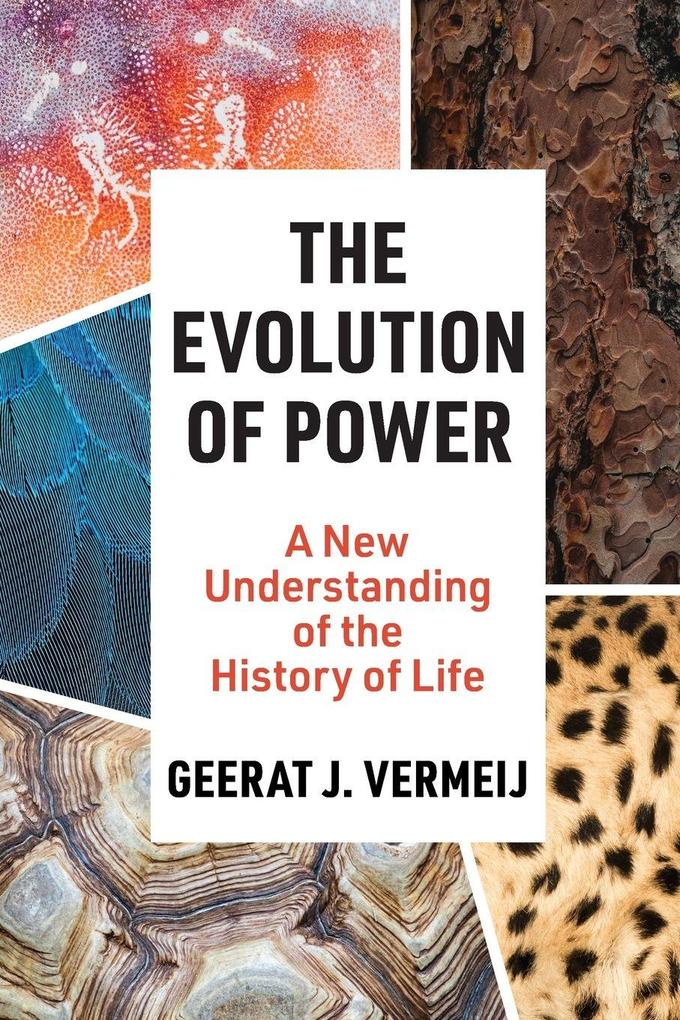 The Evolution of Power