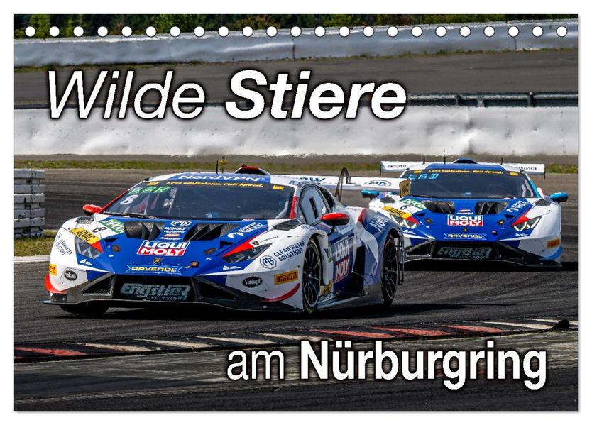 Wilde Stiere am Nürburgring (Tischkalender 2026 DIN A5 quer) CALVENDO Monatskalender