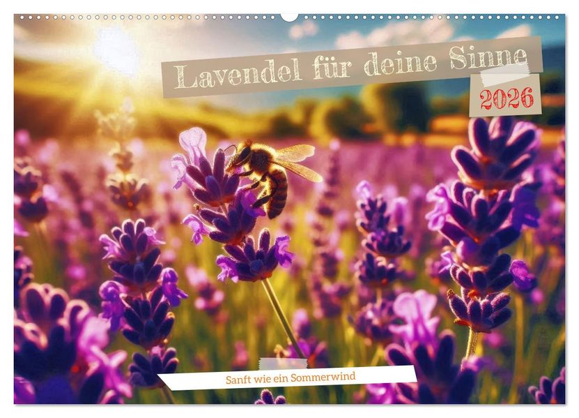 Lavendel für deine Sinne (Wandkalender 2026 DIN A2 quer) CALVENDO Monatskalender
