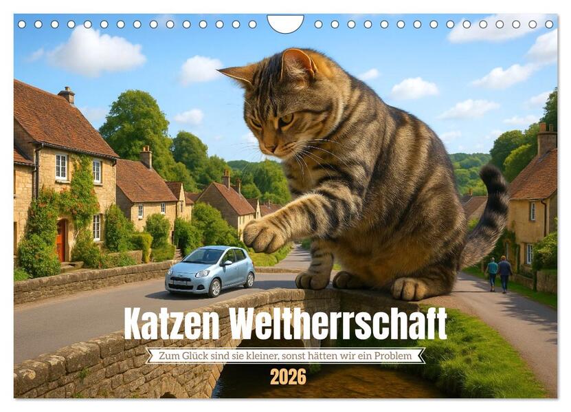 Katzen Weltherrschaft (Wandkalender 2026 DIN A4 quer) CALVENDO Monatskalender