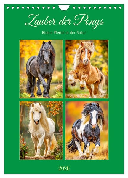 Zauber der Ponys. Kleine Pferde in der Natur (Wandkalender 2026 DIN A4 hoch) CALVENDO Monatskalender
