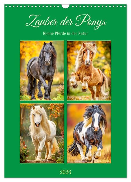 Zauber der Ponys. Kleine Pferde in der Natur (Wandkalender 2026 DIN A3 hoch) CALVENDO Monatskalender