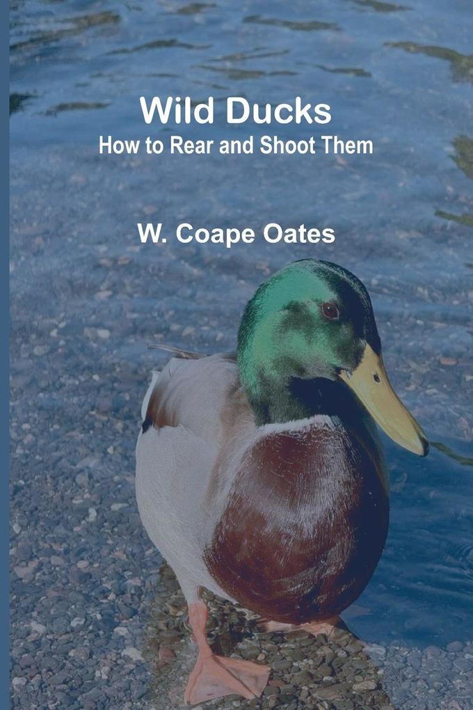 Wild Ducks
