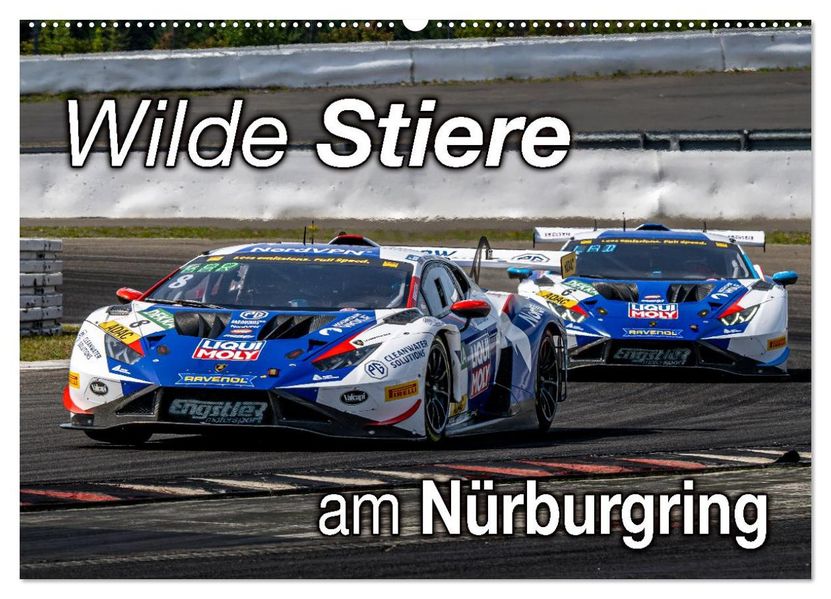 Wilde Stiere am Nürburgring (Wandkalender 2026 DIN A2 quer) CALVENDO Monatskalender