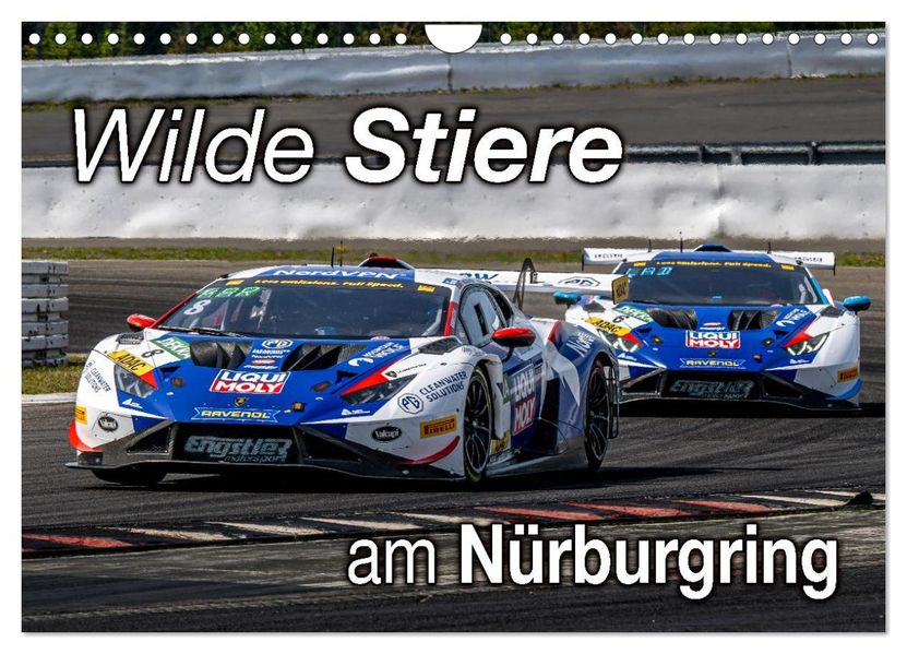 Wilde Stiere am Nürburgring (Wandkalender 2026 DIN A4 quer) CALVENDO Monatskalender