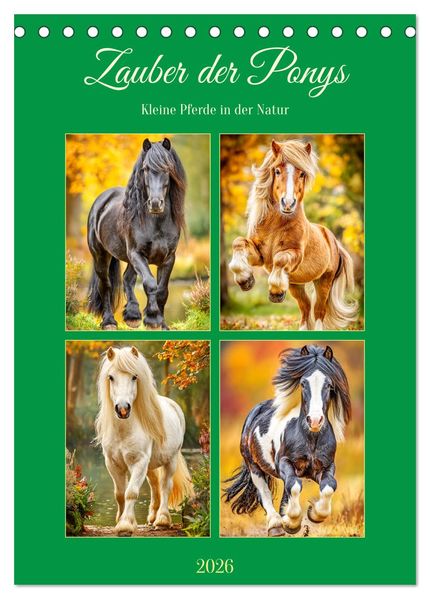 Zauber der Ponys. Kleine Pferde in der Natur (Tischkalender 2026 DIN A5 hoch) CALVENDO Monatskalender