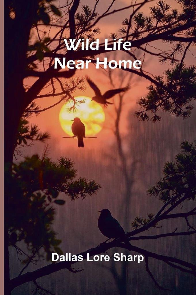 Wild Life Near Home