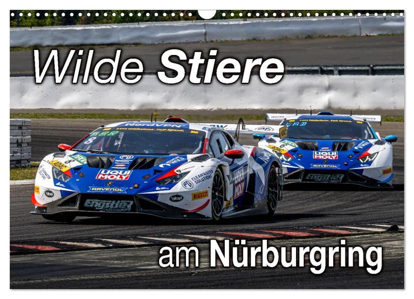 Wilde Stiere am Nürburgring (Wandkalender 2026 DIN A3 quer) CALVENDO Monatskalender