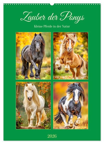 Zauber der Ponys. Kleine Pferde in der Natur (Wandkalender 2026 DIN A2 hoch) CALVENDO Monatskalender