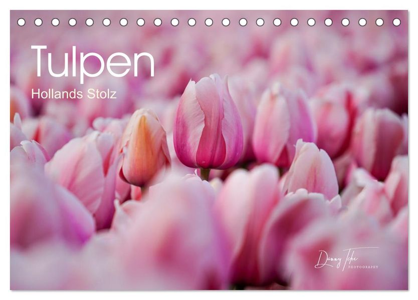 Tulpen - Hollands Stolz (Tischkalender 2026 DIN A5 quer) CALVENDO Monatskalender