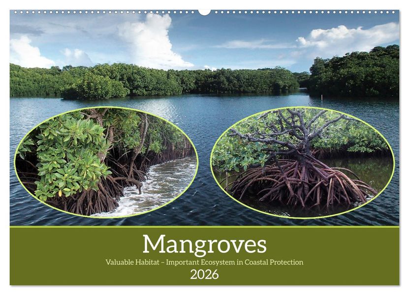 Mangroves - Valuable Habitat (Wall Calendar 2026 DIN A2 landscape) CALVENDO 12 Month Wall Calendar