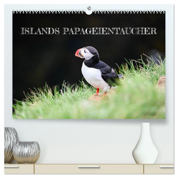 Islands Papageientaucher (hochwertiger Premium Wandkalender 2026 DIN A2 quer) Kunstdruck in Hochglanz