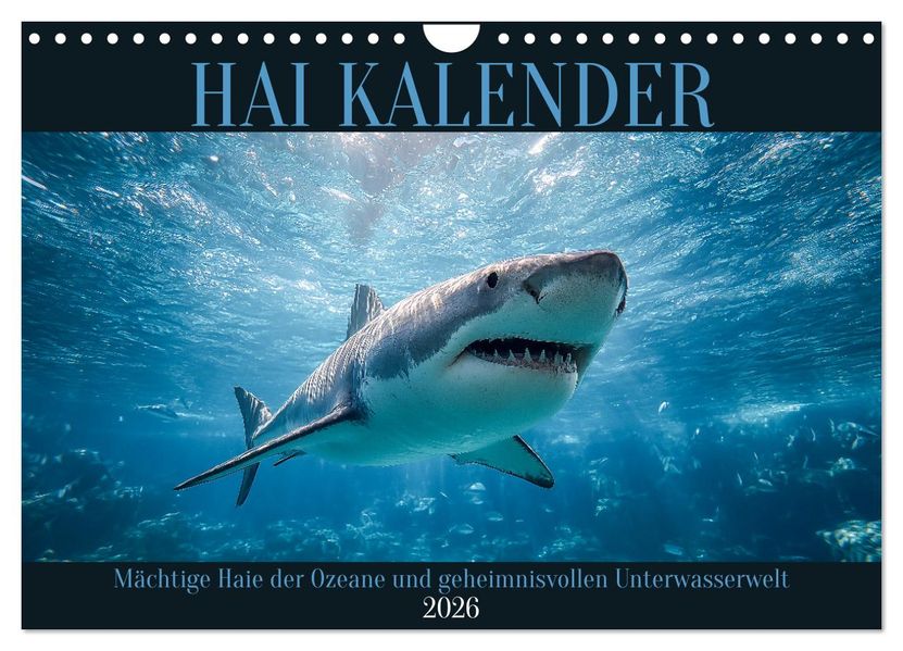 Hai Kalender - Mächtige Haie der Ozeane und geheimnisvollen Unterwasserwelt (Wandkalender 2026 DIN A4 quer) CALVENDO Monatskalender
