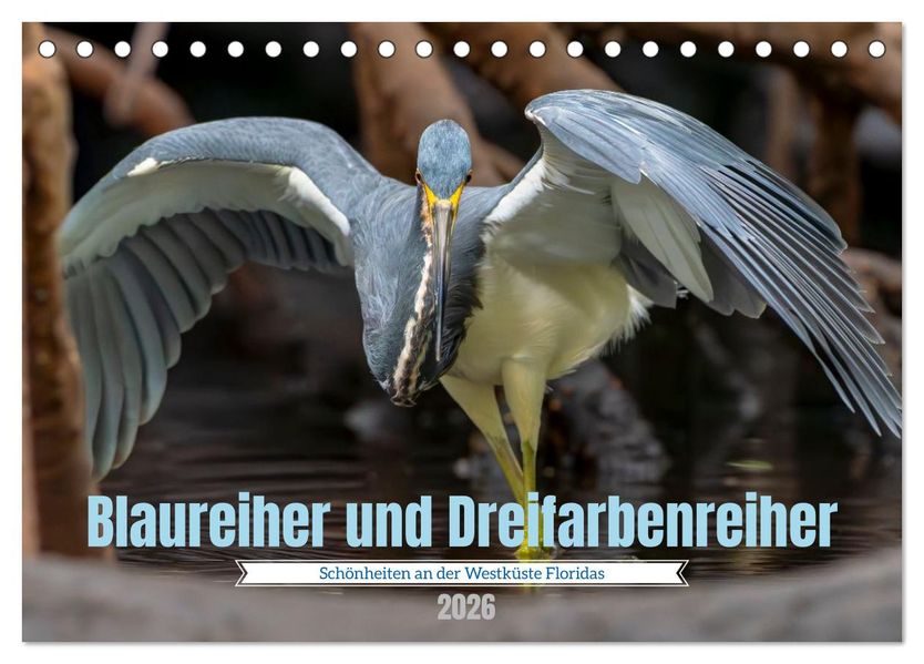 Blaureiher und Dreifarbenreiher (Tischkalender 2026 DIN A5 quer) CALVENDO Monatskalender
