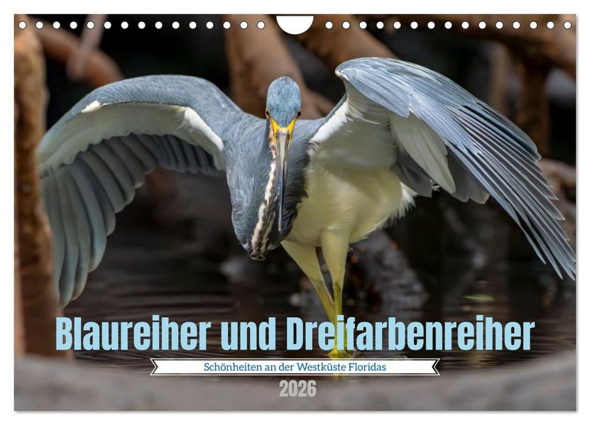 Blaureiher und Dreifarbenreiher (Wandkalender 2026 DIN A4 quer) CALVENDO Monatskalender
