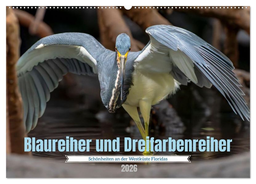 Blaureiher und Dreifarbenreiher (Wandkalender 2026 DIN A2 quer) CALVENDO Monatskalender