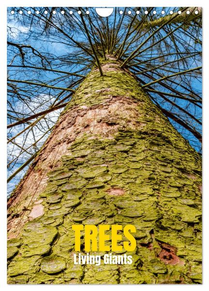 Trees Living Giants (Wall Calendar 2026 DIN A4 portrait) CALVENDO 12 Month Wall Calendar