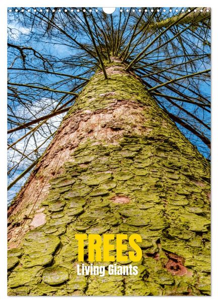 Trees Living Giants (Wall Calendar 2026 DIN A3 portrait) CALVENDO 12 Month Wall Calendar