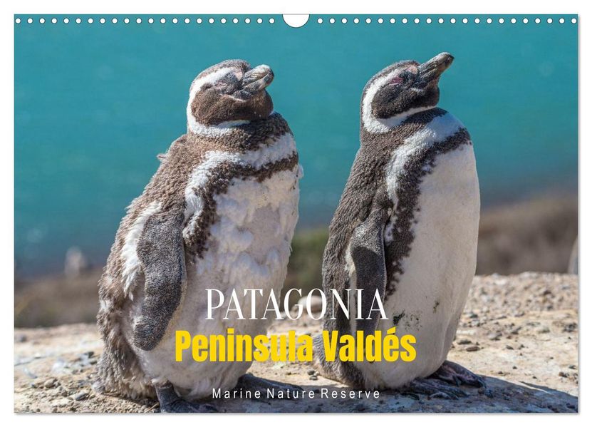 Patagonia Peninsula Valdés - Marine Nature Reserve (Wall Calendar 2026 DIN A3 landscape) CALVENDO 12 Month Wall Calendar