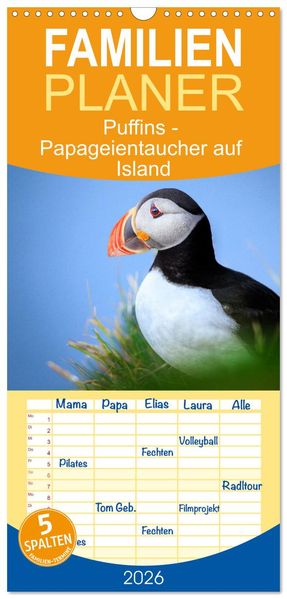 Familienplaner 2026 - Puffins - Papageientaucher auf Island mit 5 Spalten (Wandkalender 21 x 45 cm) CALVENDO