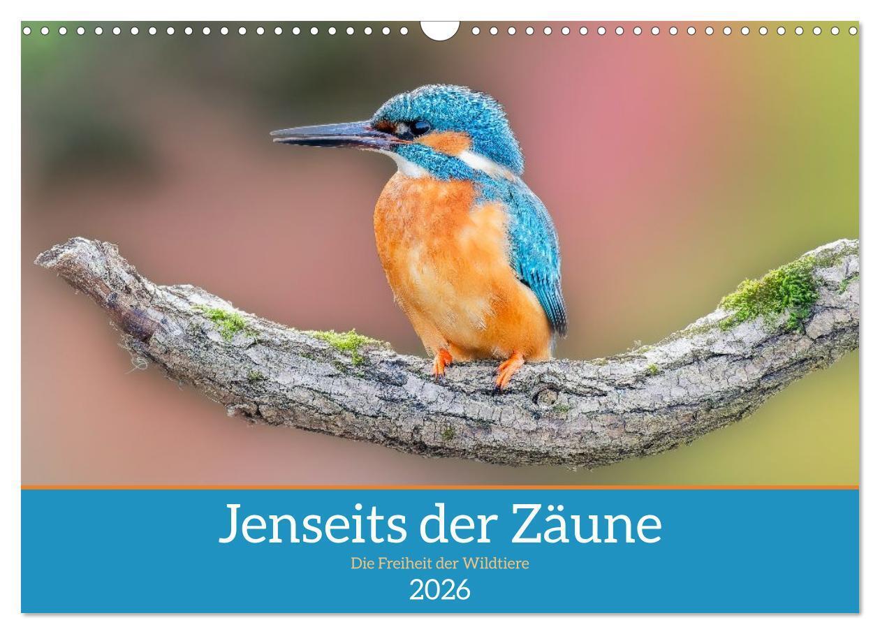 Jenseits der Zäune (Wandkalender 2026 DIN A3 quer) CALVENDO Monatskalender