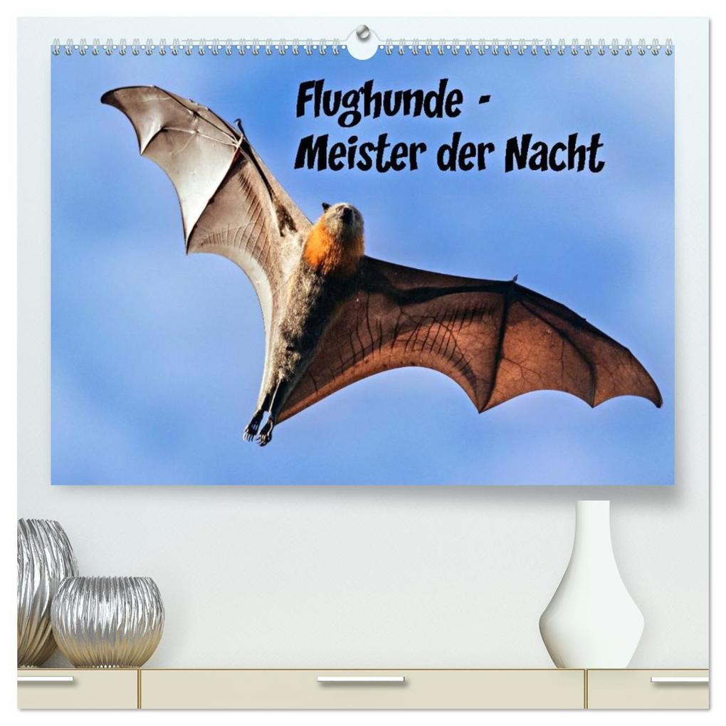 Flughunde - Meister der Nacht (hochwertiger Premium Wandkalender 2026 DIN A2 quer) Kunstdruck in Hochglanz