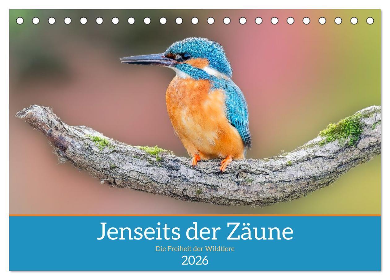 Jenseits der Zäune (Tischkalender 2026 DIN A5 quer) CALVENDO Monatskalender