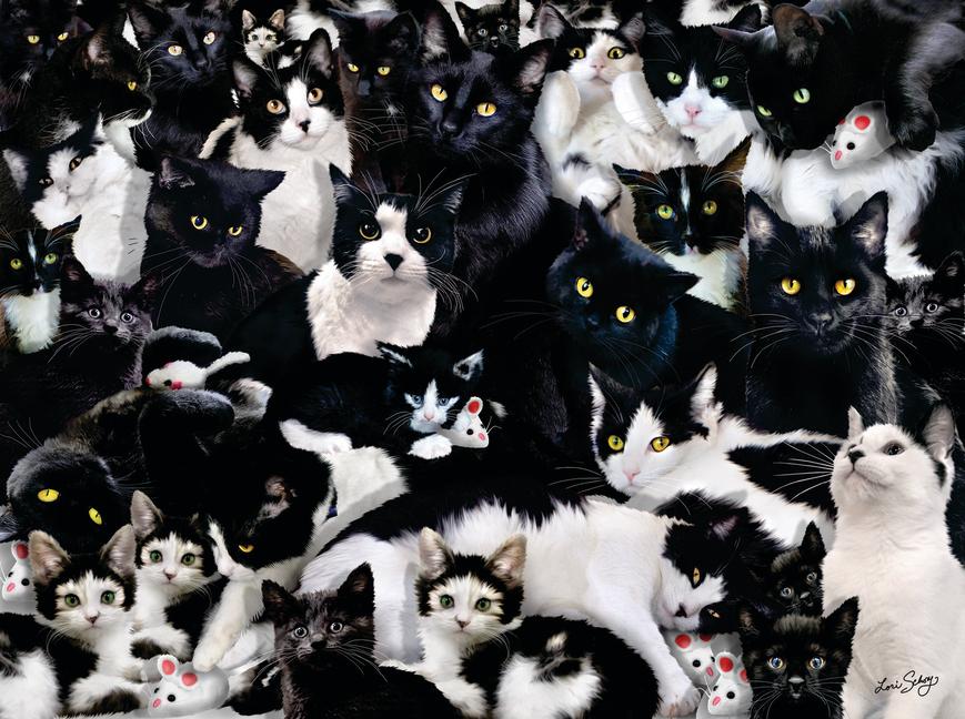 Black and White 1000 PC Puzzle