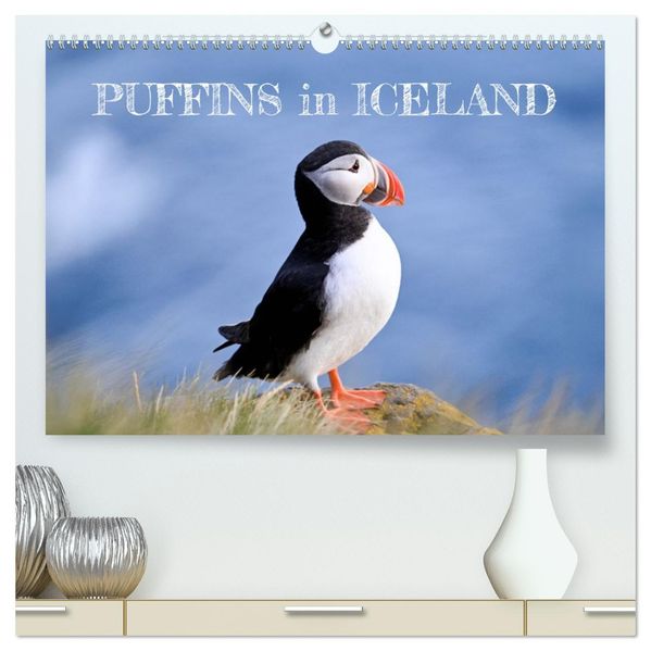 Puffins in Iceland (High Quality Premium Wall Calendar 2026 DIN A2 landscape)CALVENDO 12 Month Wall Calendar