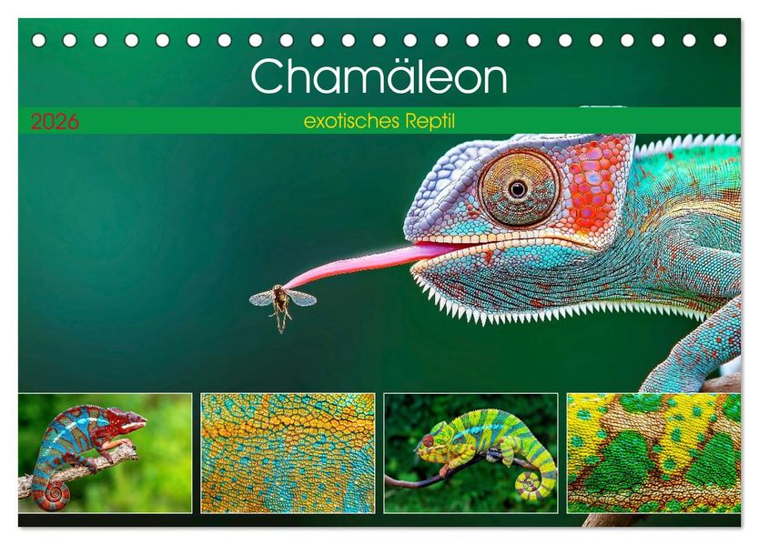 Chamäleon - exotisches Reptil (Tischkalender 2026 DIN A5 quer) CALVENDO Monatskalender