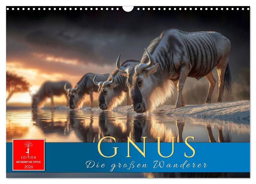 Gnus - die großen Wanderer (Wandkalender 2026 DIN A3 quer) CALVENDO Monatskalender