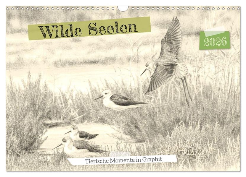 Wilde Seelen - Tierische Momente in Graphit (Wandkalender 2026 DIN A3 quer) CALVENDO Monatskalender