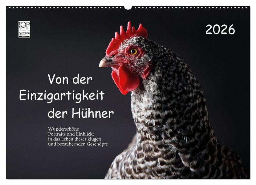 Von der Einzigartigkeit der Hühner 2026 (Wandkalender 2026 DIN A2 quer) CALVENDO Monatskalender