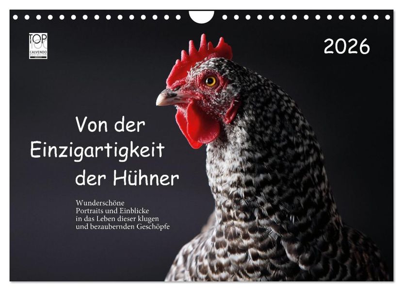 Von der Einzigartigkeit der Hühner 2026 (Wandkalender 2026 DIN A4 quer) CALVENDO Monatskalender