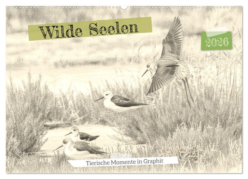 Wilde Seelen - Tierische Momente in Graphit (Wandkalender 2026 DIN A2 quer) CALVENDO Monatskalender