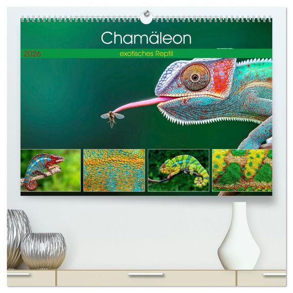 Chamäleon - exotisches Reptil (hochwertiger Premium Wandkalender 2026 DIN A2 quer) Kunstdruck in Hochglanz