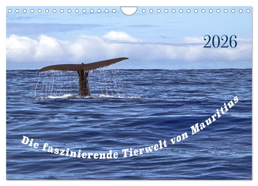 Faszinierende Tierwelt von Mauritius - Magische Momente der Natur (Wandkalender 2026 DIN A4 quer) CALVENDO Monatskalender