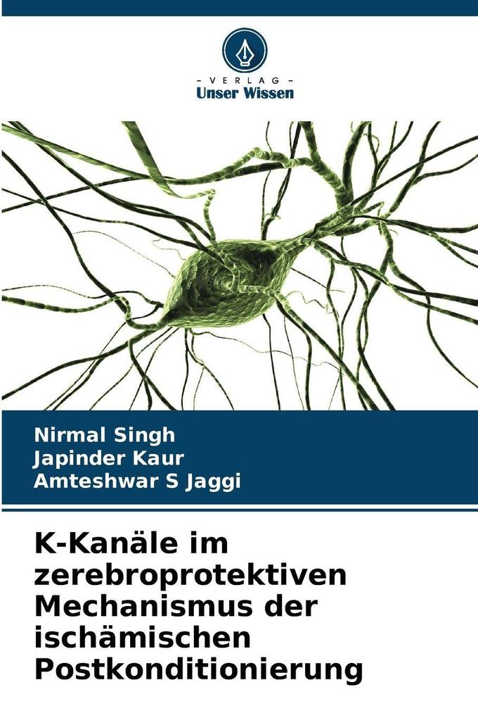 K-Kanäle im zerebroprotektiven Mechanismus der ischämischen Postkonditionierung