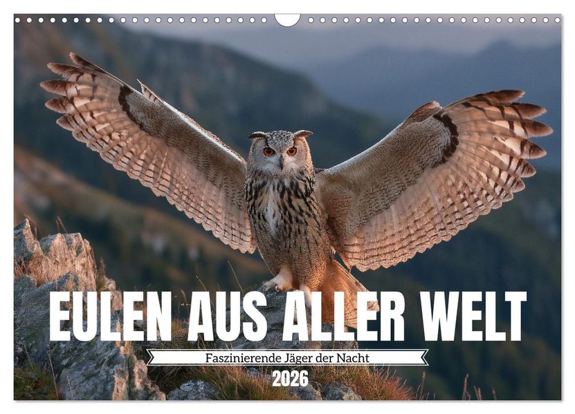 Eulen aus aller Welt - Faszinierende Jäger der Nacht (Wandkalender 2026 DIN A3 quer) CALVENDO Monatskalender