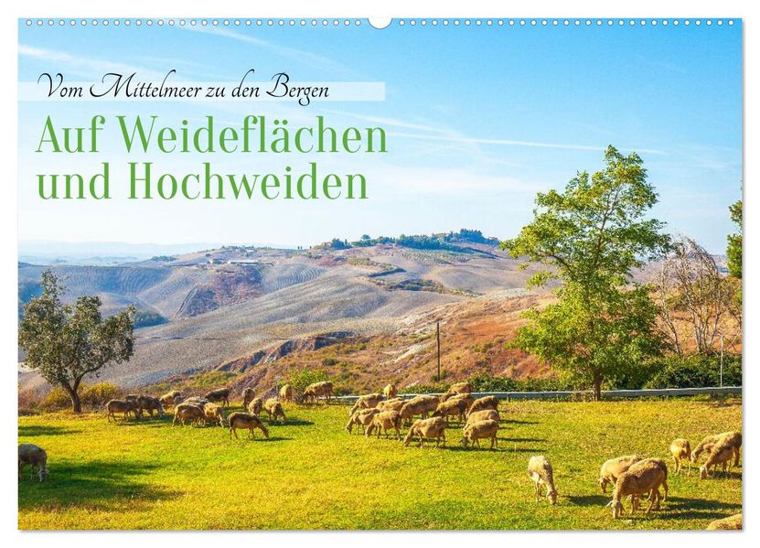 Auf Weideflächen und Hochweiden (Wandkalender 2026 DIN A2 quer) CALVENDO Monatskalender