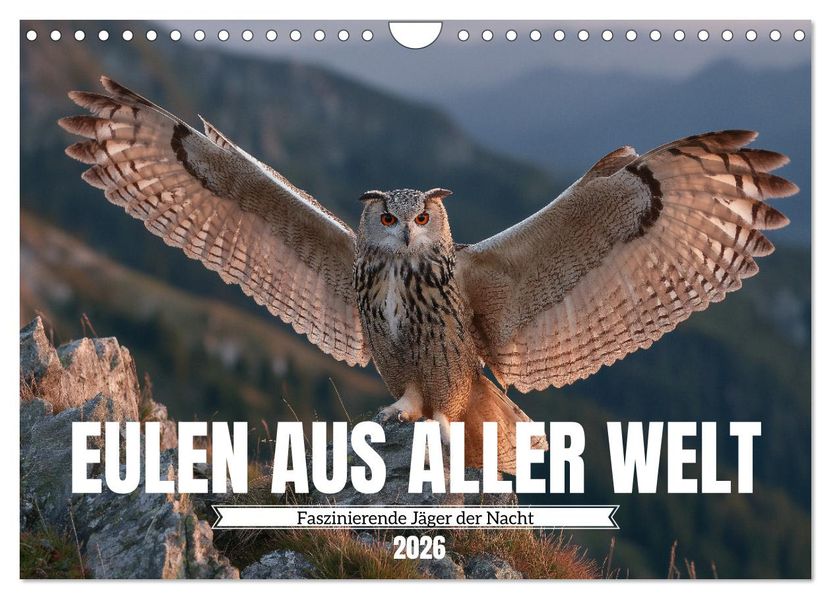 Eulen aus aller Welt - Faszinierende Jäger der Nacht (Wandkalender 2026 DIN A4 quer) CALVENDO Monatskalender