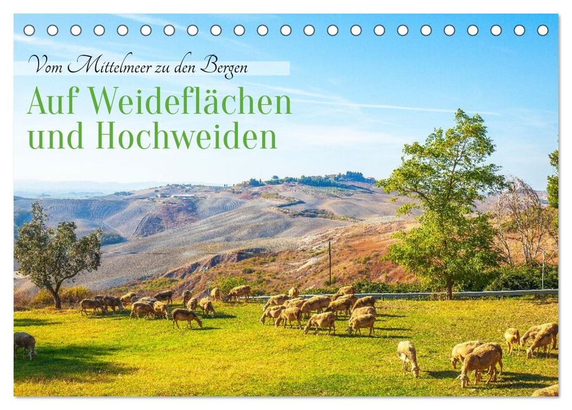 Auf Weideflächen und Hochweiden (Tischkalender 2026 DIN A5 quer) CALVENDO Monatskalender